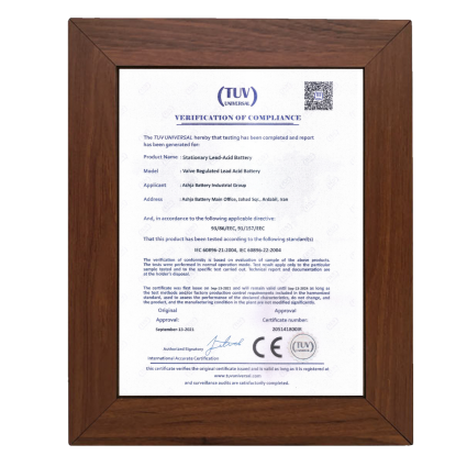 CE-01 -Valve Regulated Lead Aacid Battery